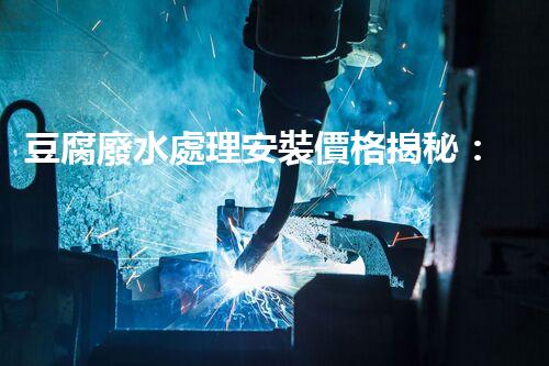 豆腐廢水處理安裝價格揭秘：行業(yè)內(nèi)幕大曝光！